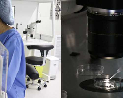 北京代孕套餐费用,北京公立医院供卵价格？